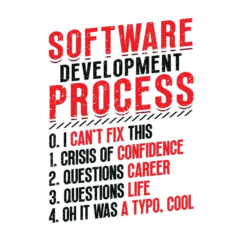 Processus de développement logiciel, programmation