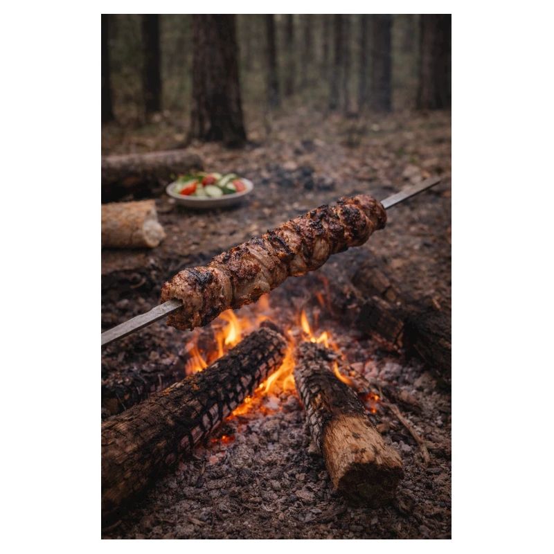 Campfire skewer in the forest