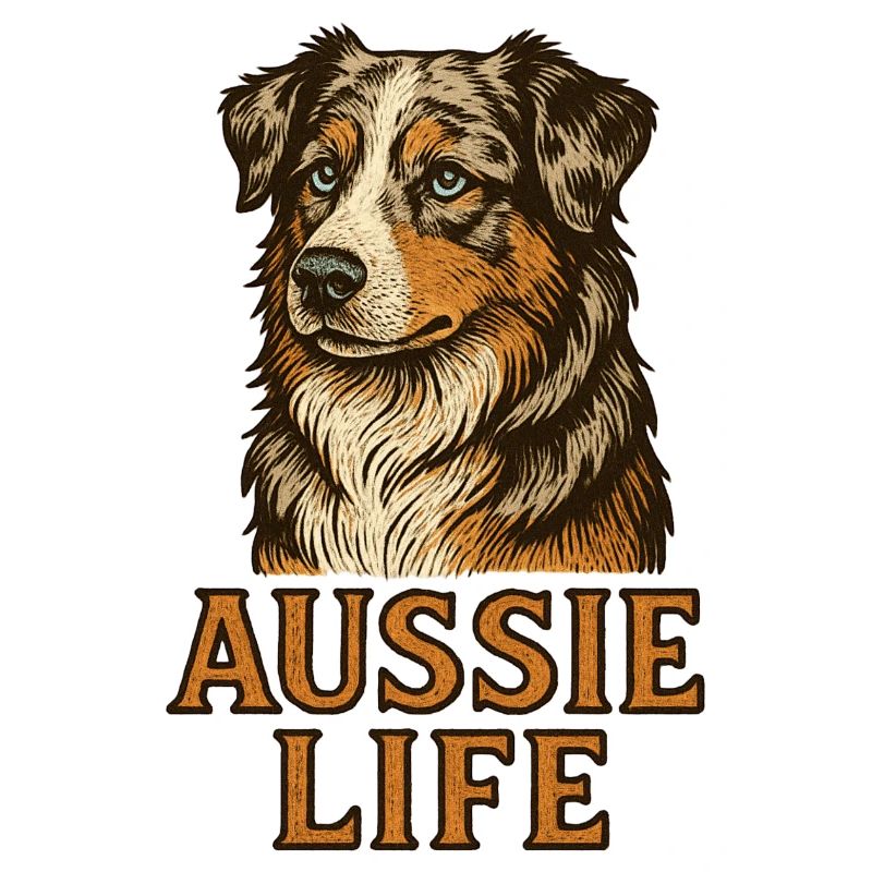 Australian Shepherd Hund - Australian Shepherd