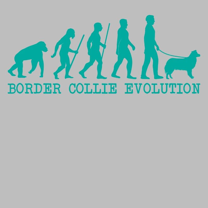 Border Collie Evolution
