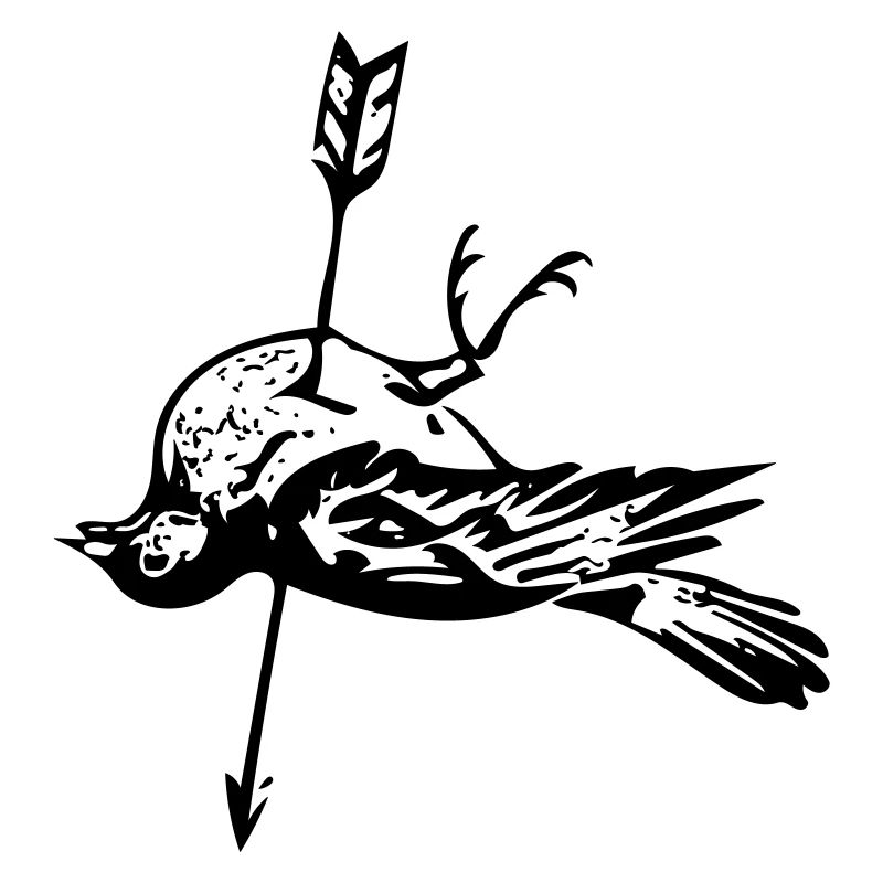 Oiseau mort - flèche dans le coeur
