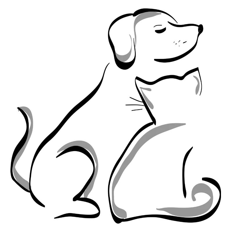 Chien et chat