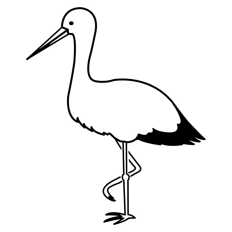 storch_1