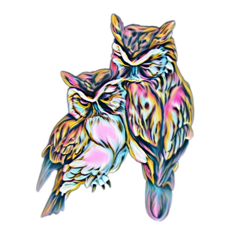 owls