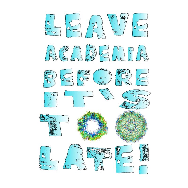 Leave Academia before its too late
