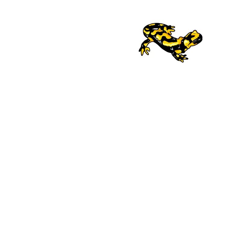 Feuersalamander Logo Echte Salamander Feuermolch