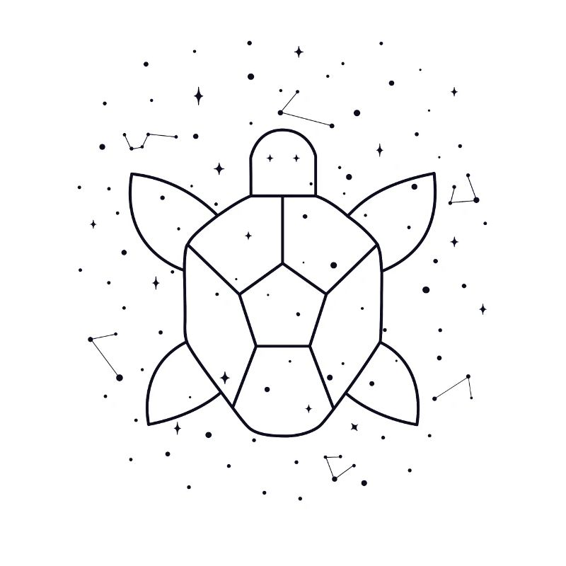 Constellation Aquatic Turtle constellation
