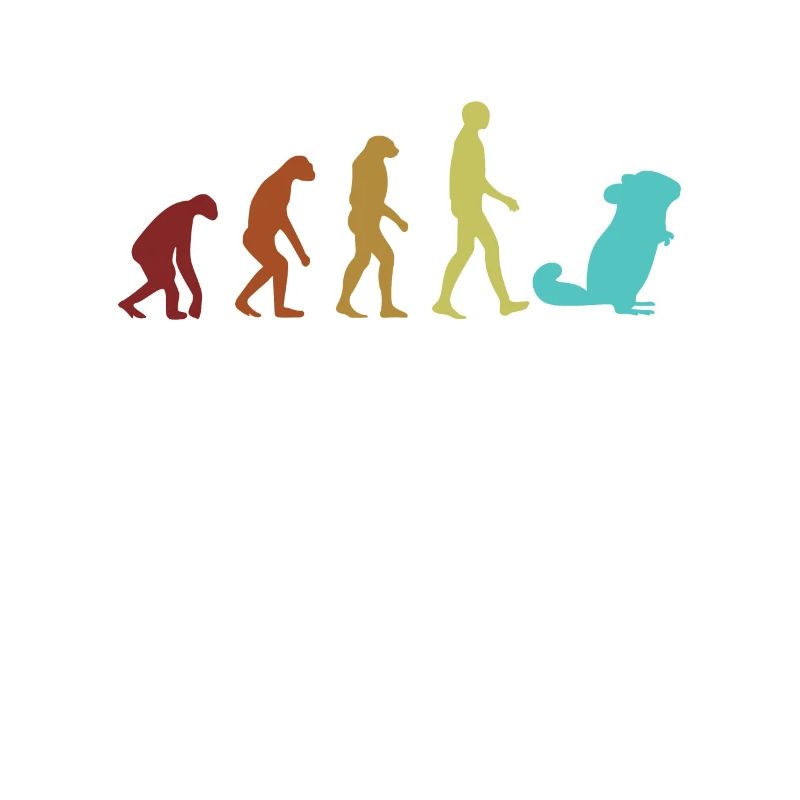 Chinchilla Evolution Éleveur à longue queue à poil long