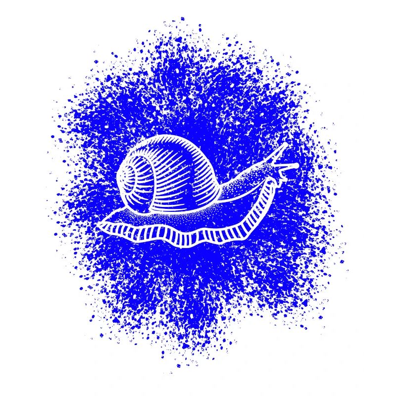 Snail with snail shell