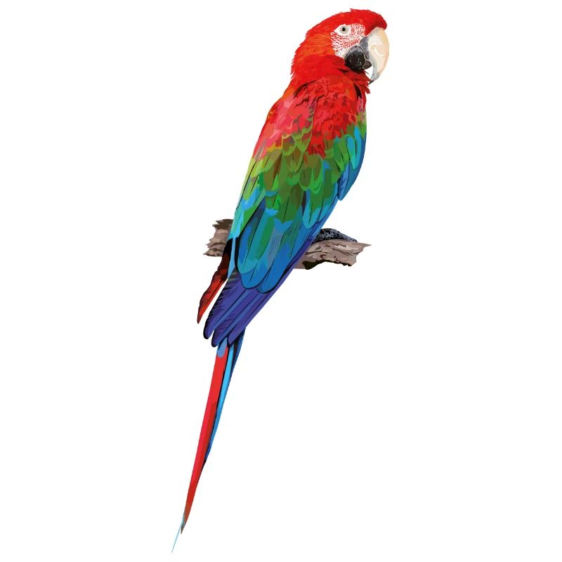 Ara à ailes vertes
