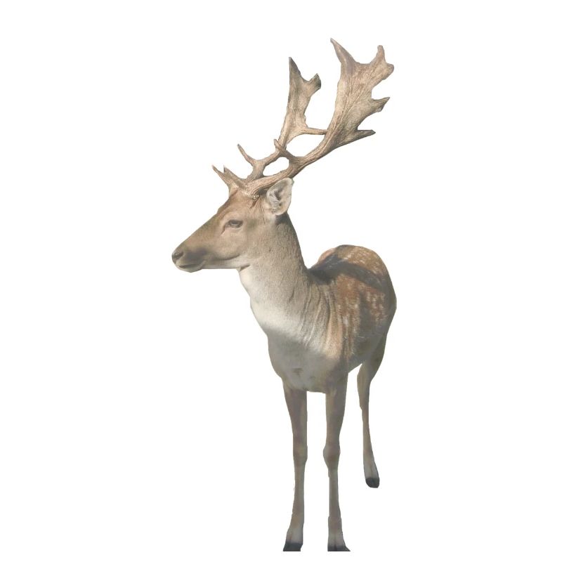 Cerf
