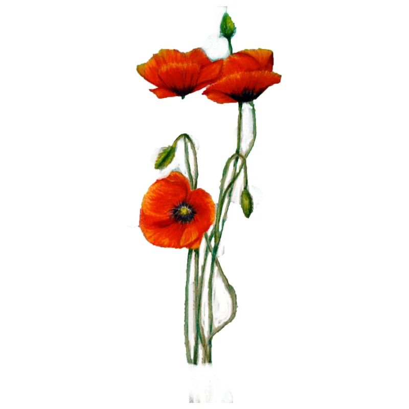mohnblume