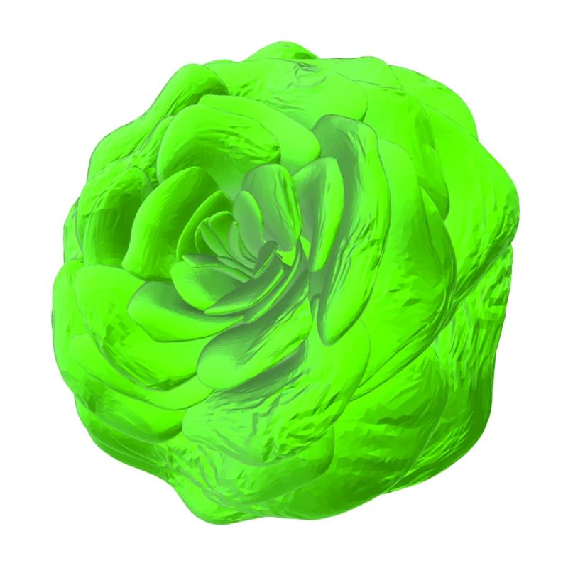 Rose Vert