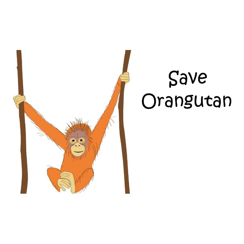 Orangutan orangutan rainforest monkey gift