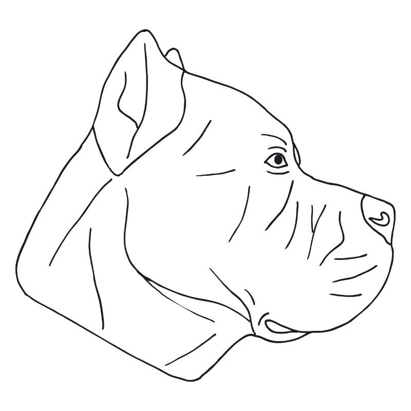 Cane Corso