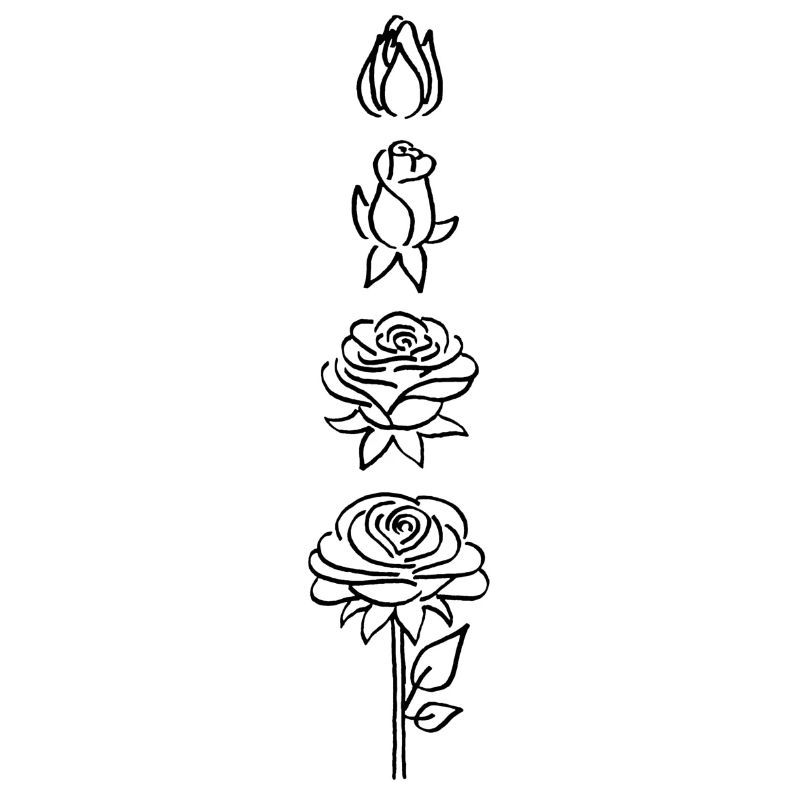 éclosion d'une fleur noire