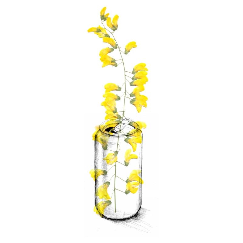Une boîte de fleurs