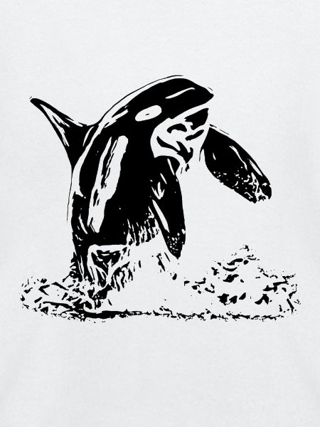 Orca