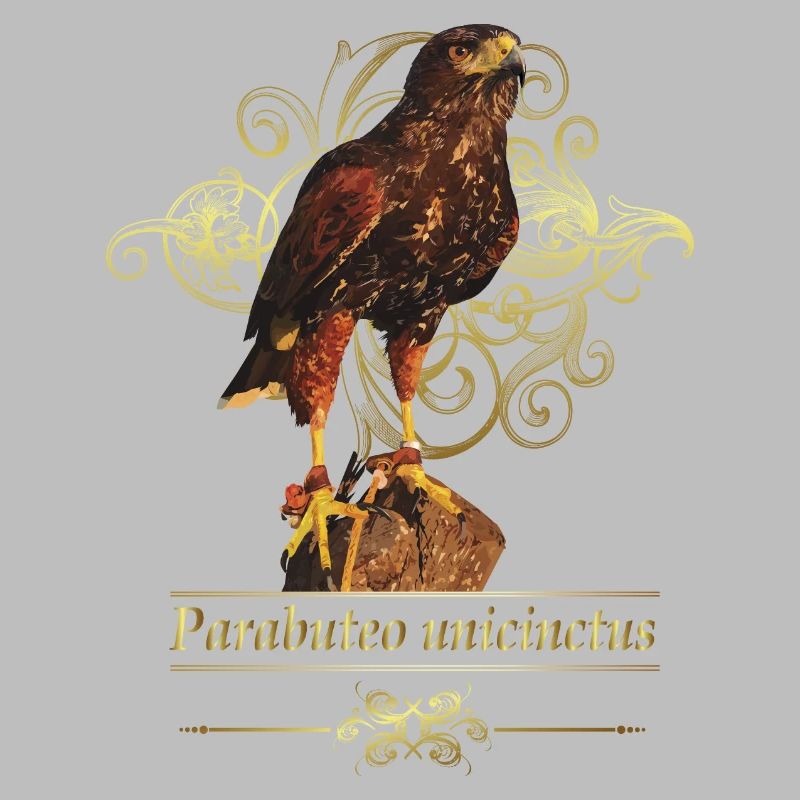 Reddish-reddish hawk