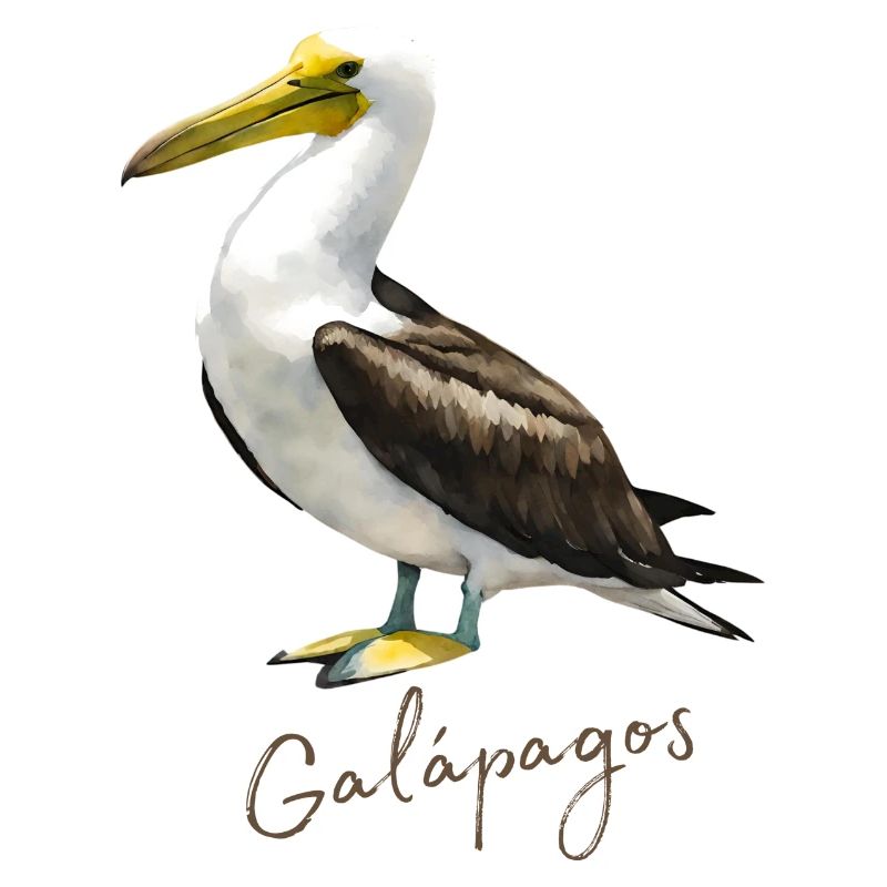 Vogel der Galapagos-Insel
