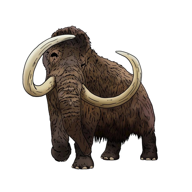 cooles Mammut aus der Eiszeit Geschenkidee
