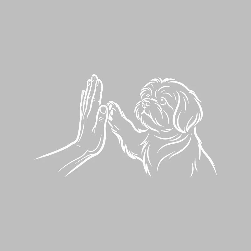 Dog Handshake High Five Paw Human Connection