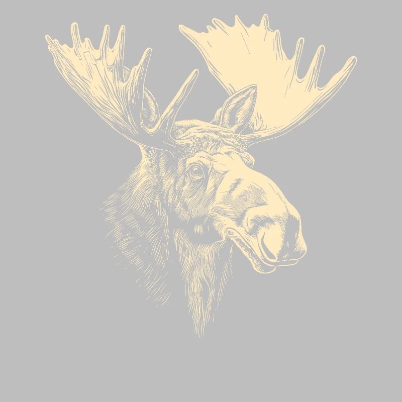 Elch Moose Elchbulle Geweih Hirsch Wilde Elche
