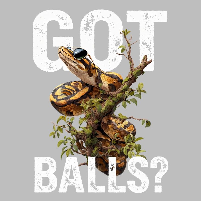 Python roi Serpents Amateurs de terrarium Python