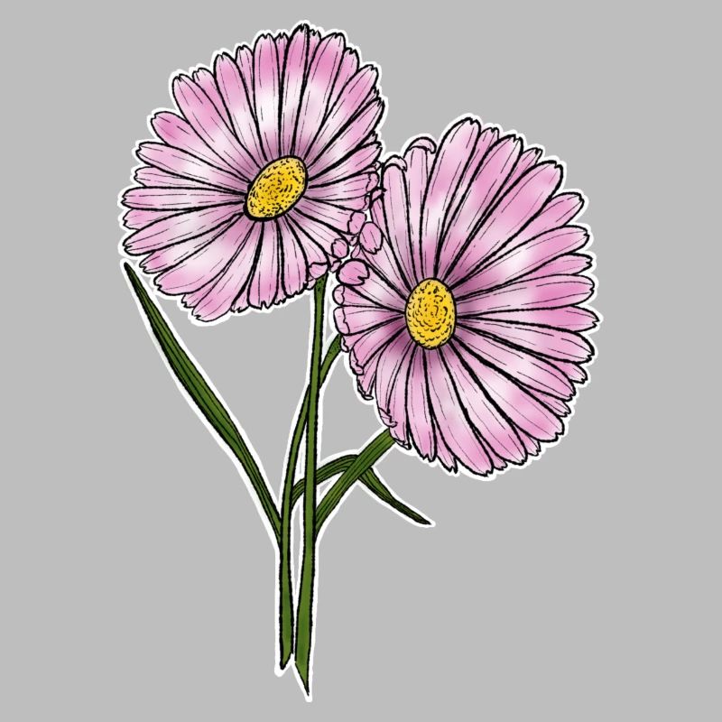 Daisy