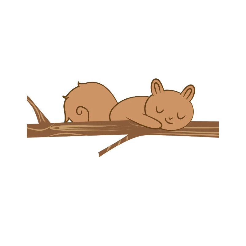 Squirrel - squirrel fan - squirrel