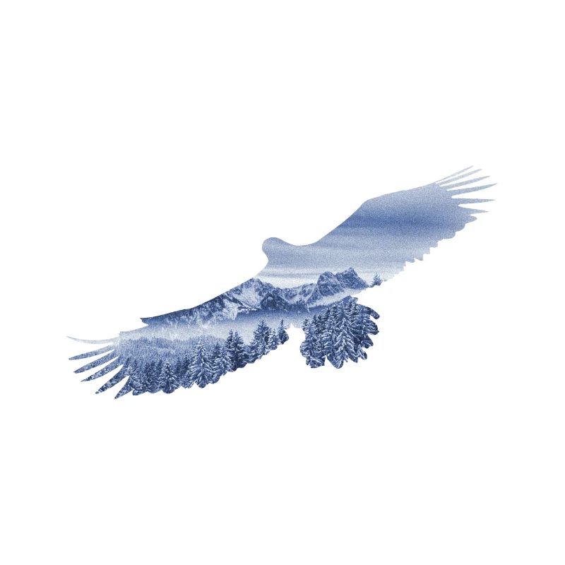 Soar like at Eagle