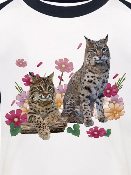 Luchs