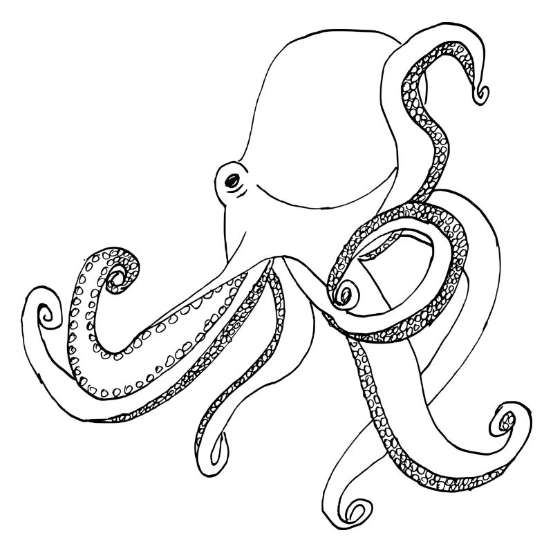 Oktopus