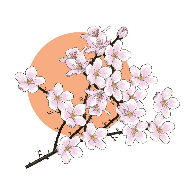 Cherry blossoms, sun, spring