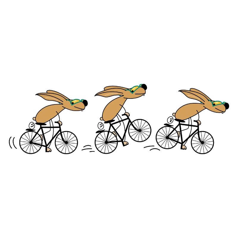 Bicycle rabbit funny