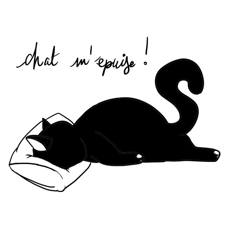 chat m'épuise