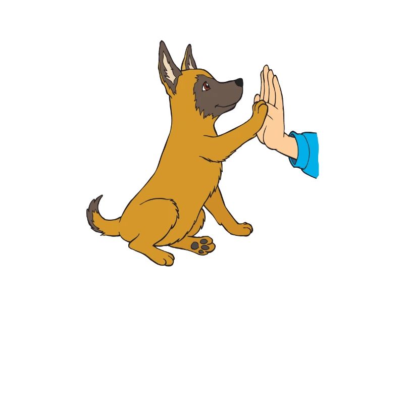 Malinois Welpe