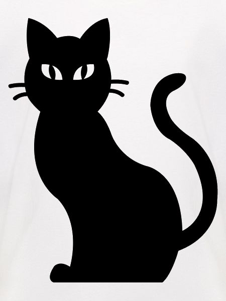 Katze