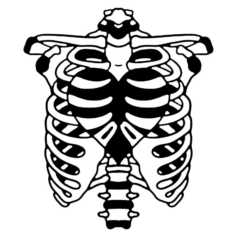 BONES