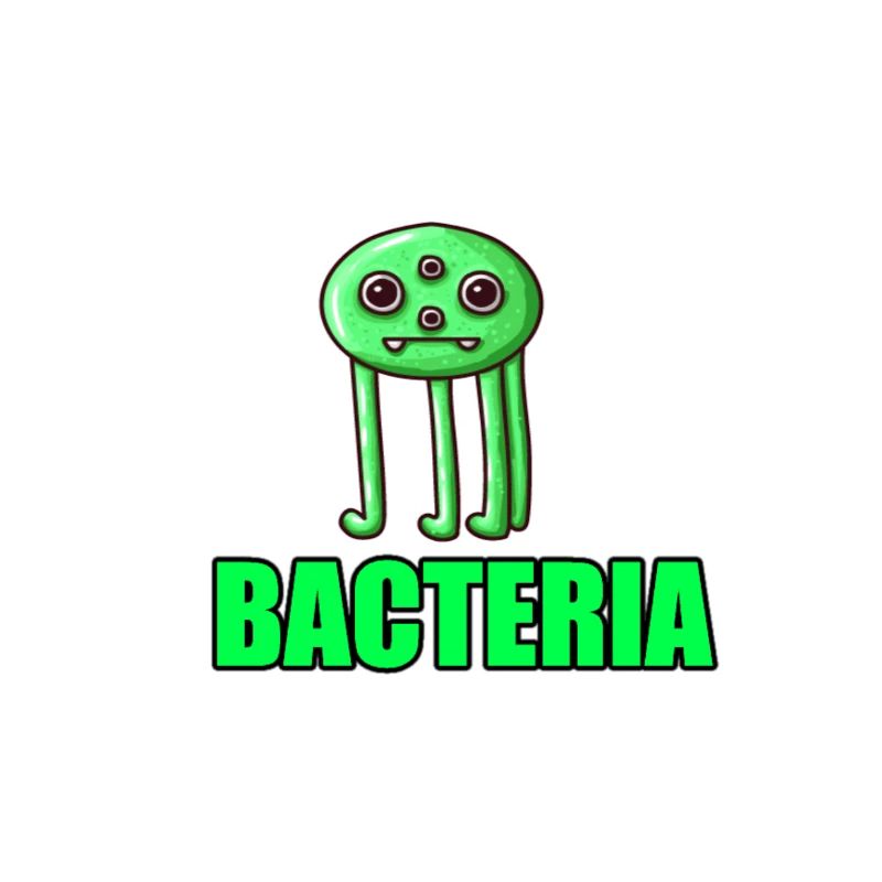 Les bactéries