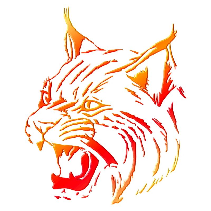 Lynx (01)