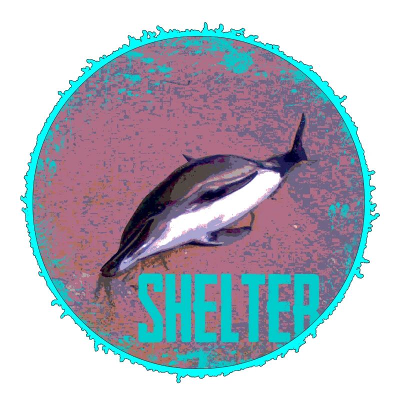 Dolphin Shelter Circle