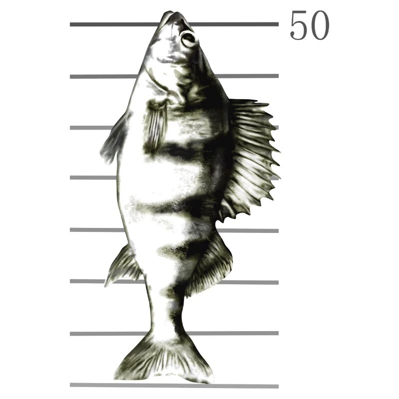 Pêche à la perche