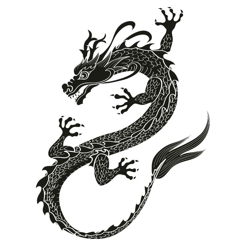 Dragonflight black