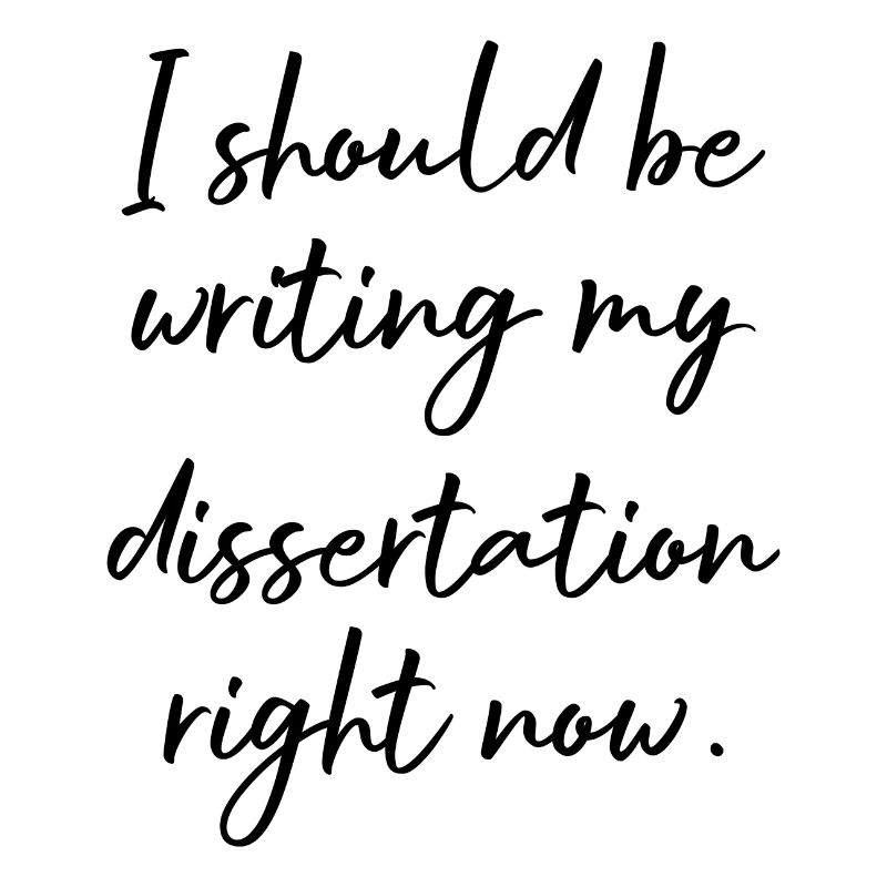 I should be writing my dissertation right now