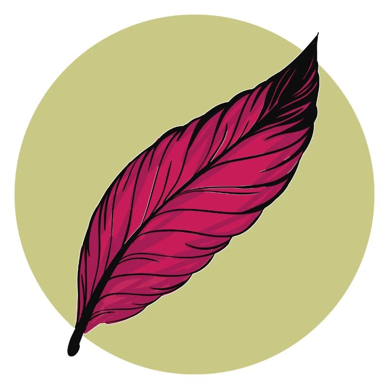 Minimal Feather Summer Trendy Colors