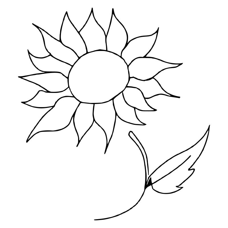 Sunflower Oneline