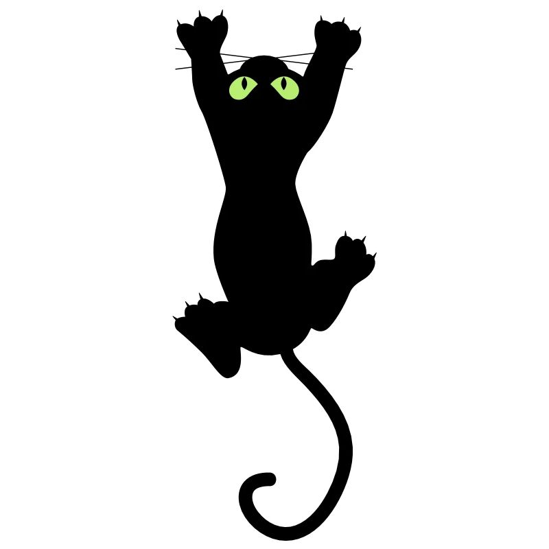 Cat fun