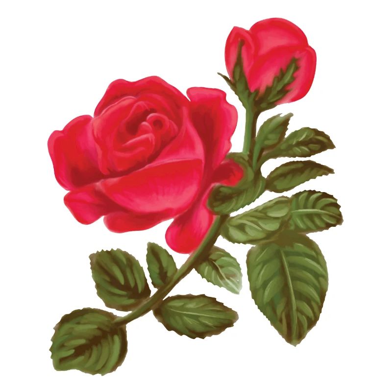 Rose Aquarelle peinte à la main
