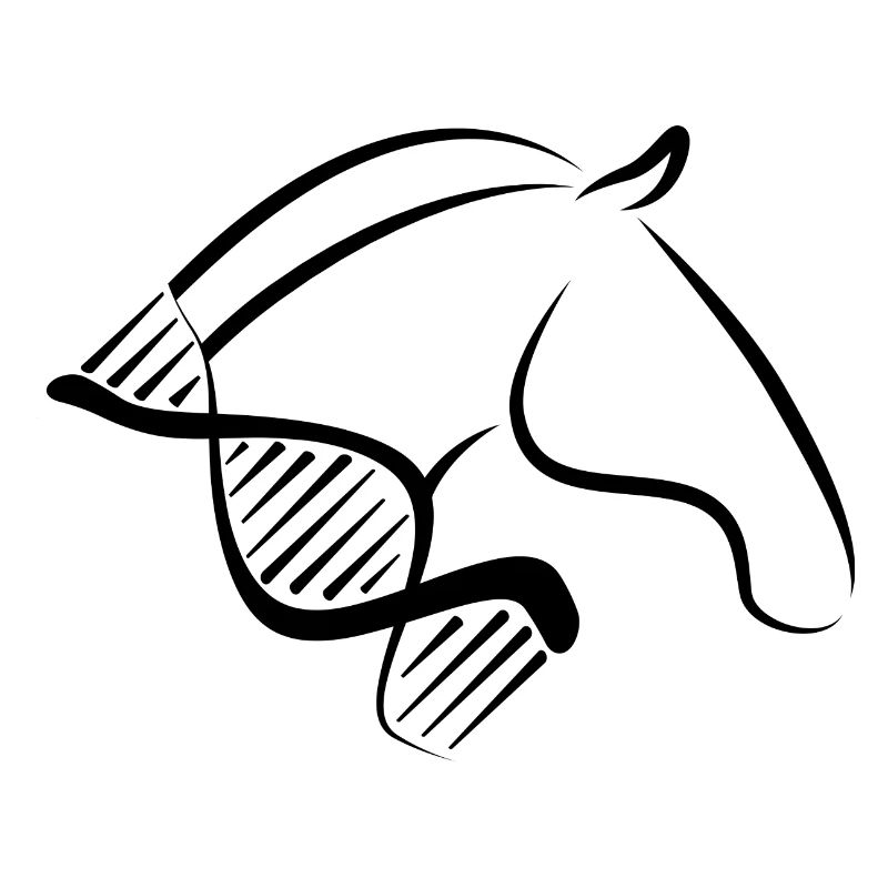 Cavalière Perd ADN Design